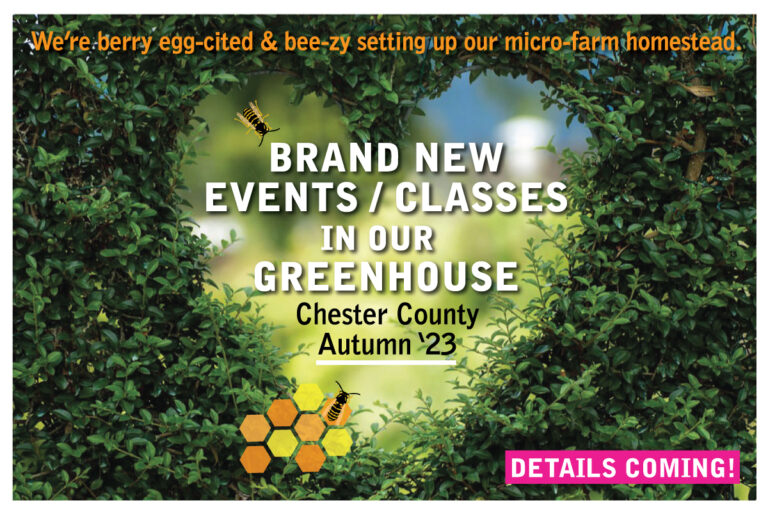 Best of Greater Philadelphia Cooking Classes 1