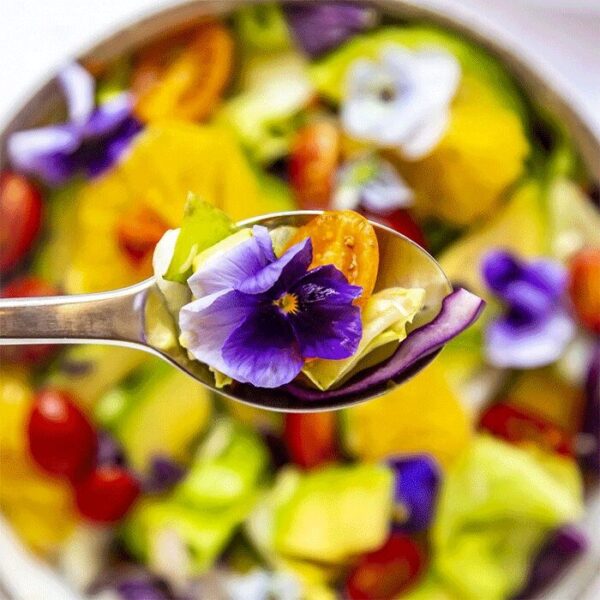 organic-edible-flowrs2