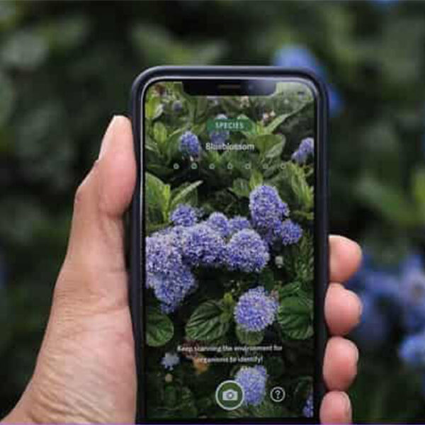 Botanical Garden Experience - Image 2