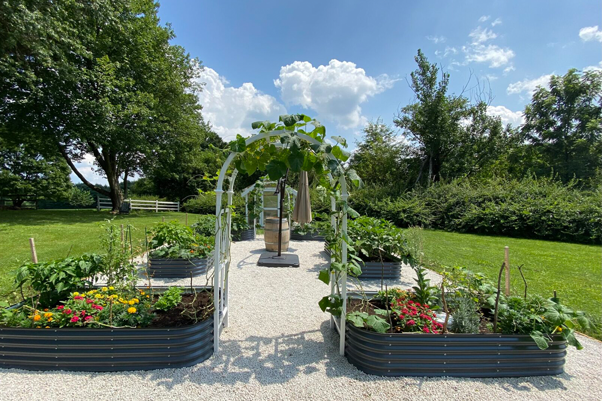 Culinary Experiences in Chester County 6